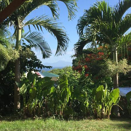 La Suite De Kaz'Hamac Grand-Bourg (Marie Galante) Εξωτερικό φωτογραφία